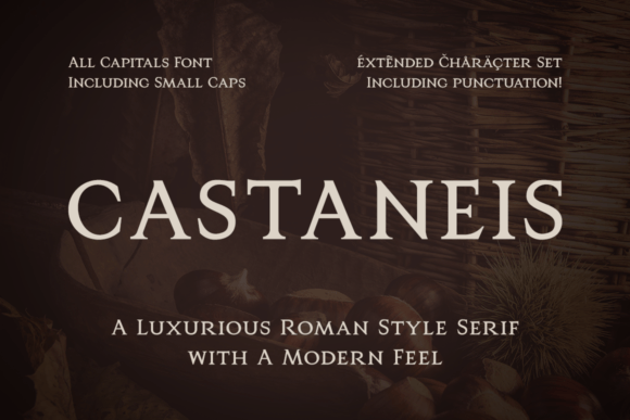 Castaneis: Bridging Ancient Roman Grandeur and Modern Design